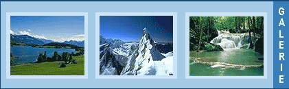 gallery07